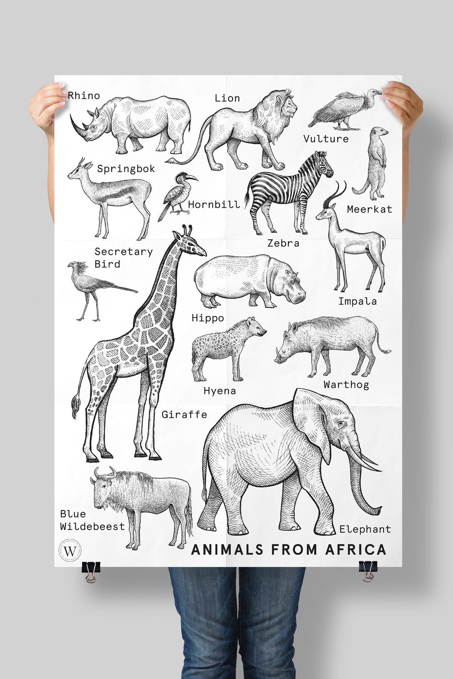 ANIMALS FROM AFRICA